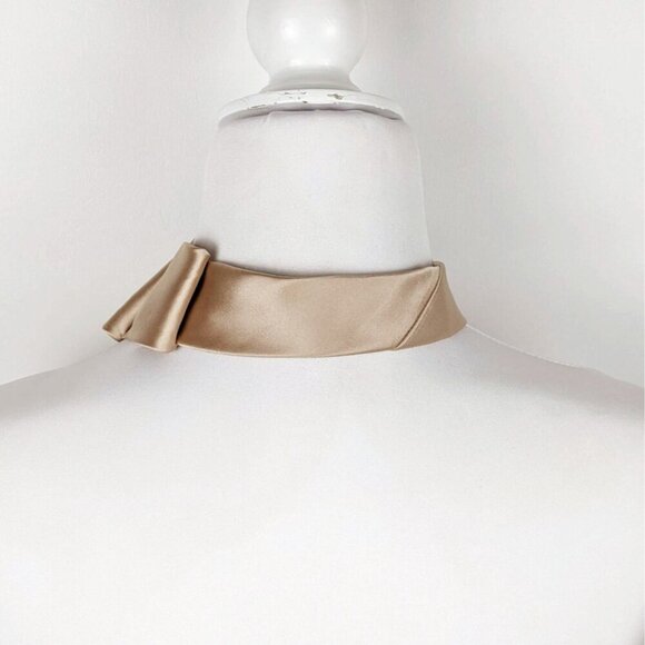 Formal Unisex Ascot - Wedding Ascot - Tuxedo Tie - Champagne Colored Tie - Picture 7 of 7